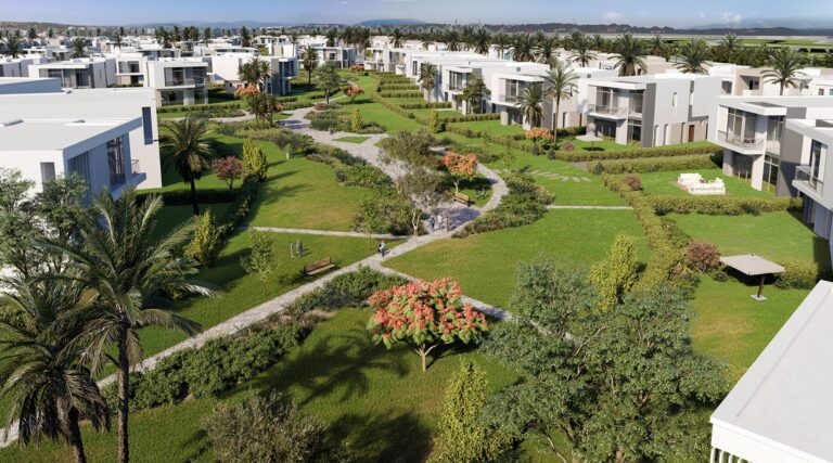 ZED-East-Hero-scaled.jpg